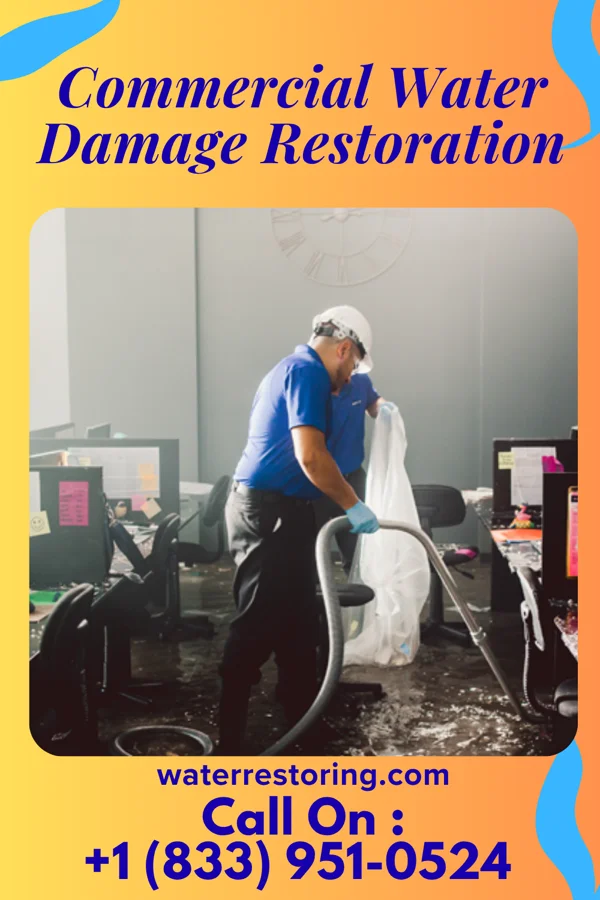 Commercial Water Damage Restoration in Miles City, MT